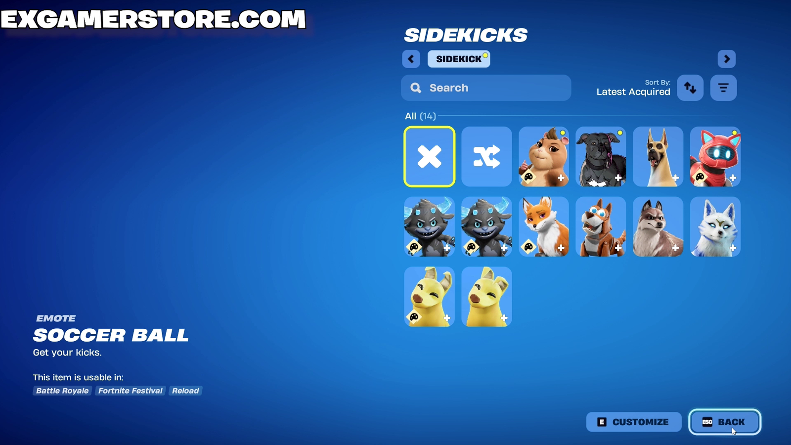 Fortnite OG account with pets — photo 5